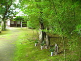 IMG_1216.JPG