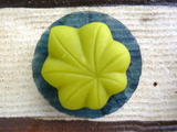 P1050031-1.JPG